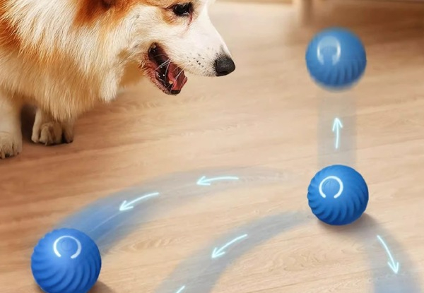 Pet Automatic Rolling Ball Toy - Two Colours Available