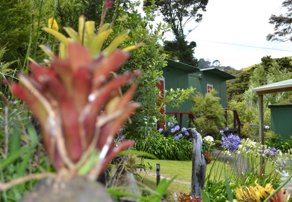 Two-Night Coromandel Getaway for Two People in a Garden Cabin incl. a $20 Food Voucher Each to use at the Royal Oak Hotel - Options for up to Four Guests & Five-Nights Stay