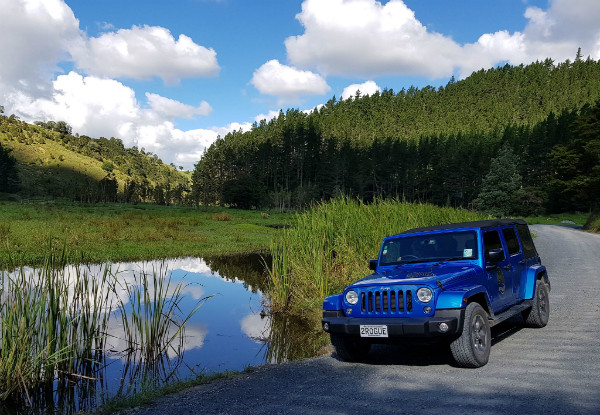 30-Minute Tour of the Bay of Islands in a V8 Mustang Convertible for One Person - Options for a One Hour Tour or a Jeep Tour for up to Four People