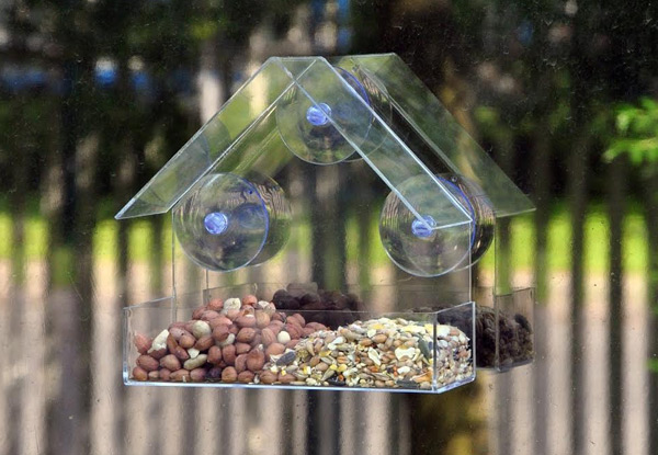 Bird Feeder Window Box Grabone Nz