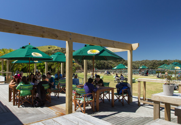 Return Ferry Trip to Otehei Bay in the Spectacular Bay of Islands - Options for Adults, Children & Families