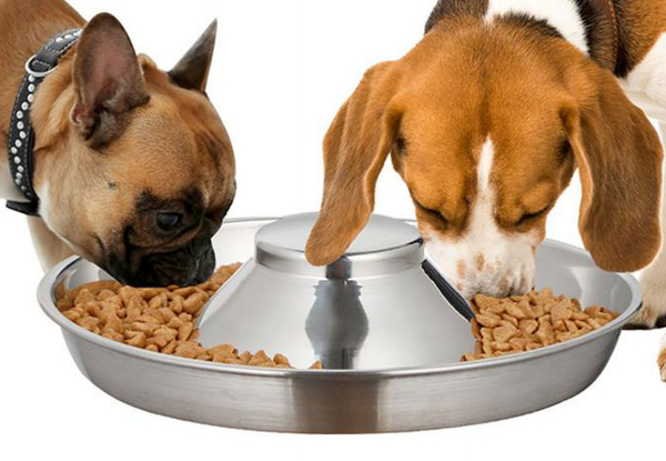 Stainless Steel Pet Slow Feed Bowl - Three Sizes Available