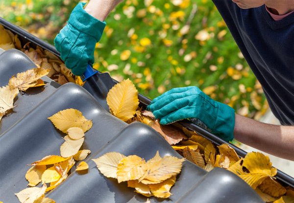 Spouting & Gutter Cleaning - Options for up to  Five-Bedroom Homes