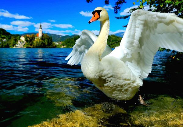 Per-Person Twin-Share Seven-Night Slovenia Lakes & Mountains Getaway incl. Accommodation & Transfers