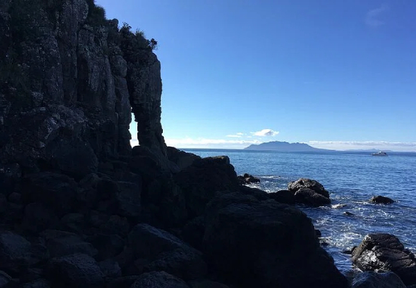 Full Day Outdoor Rock Climbing Adventure Discover Maungarei Springs (Stonefields) in Auckland - Option for Half Day