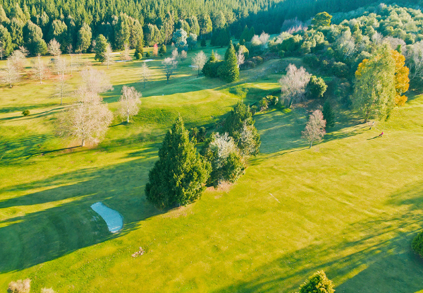 Nine Holes of Golf at Wairakei Resort Taupo for One Person - Option to incl. Club Hire