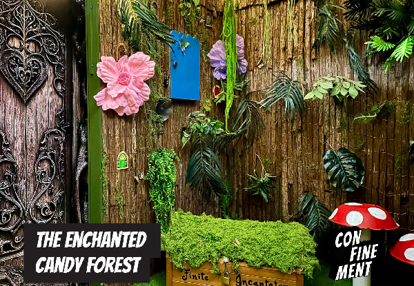 Tantalising Escape Room Experience for One to Eight People - Four Escape Rooms to Choose From - Taupo Location