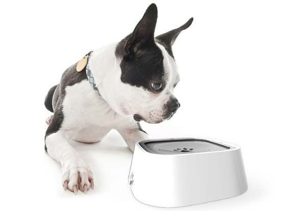 1.5L Pet No-Spill Slow Feeder Water Bowl - Available in Three Colours & Option for Two-Pack