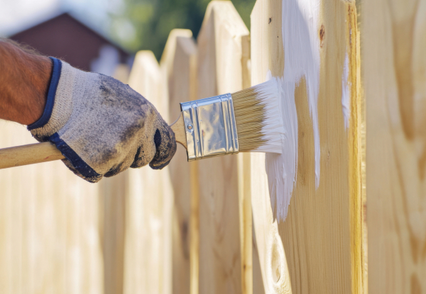 Interior or Exterior Painting Service - Options for Two, Four or Eight Hours - Valid for Labour Only