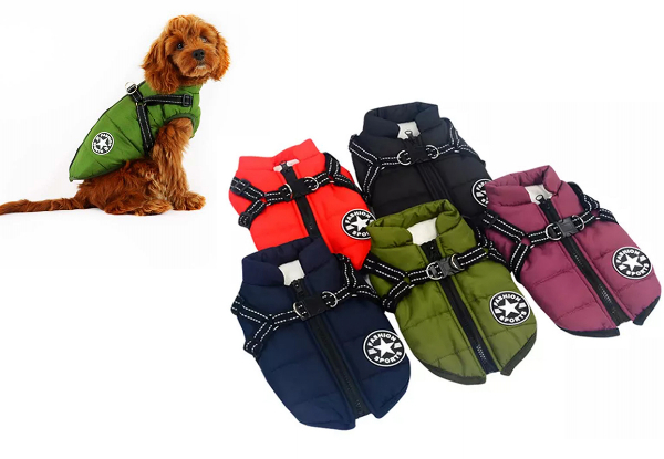 Water-Resistant Warm Winter Dog Harness Coat - Available in Five Colours & Seven Sizes