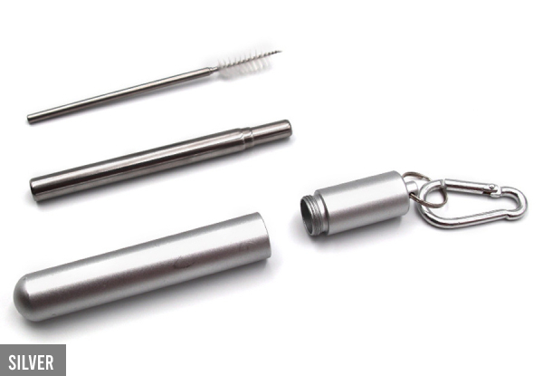 Collapsible Stainless Steel Straw with Cleaning Brush - Five Colours Available