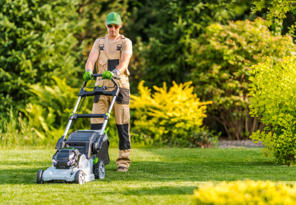 One-Hour Garden Maintenance Package - Options for Up to Six-Hours