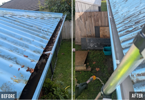 Professional Home Gutter Cleaning Service for a Single-Level Residential Dwelling - Option to include Garage