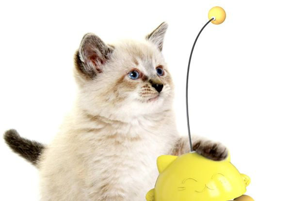 Cat Interactive Ball Tumbler Toy - Three Colours Available