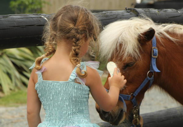 Kids' Pony Party for up to 12 Children incl. Venue Hire, Two Ponies for Pony Rides, Miniature Carriage Rides & Staff Supplied