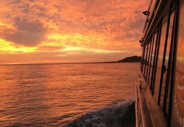 90-Minute Raglan Sunset Harbour Cruise - $78.91 per Adult — photo 5