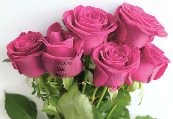 Six or Twelve Celebration Bouquet of Roses with any Custom or Standard Printed Message on One or Two Roses incl. Free Auckland Delivery - Choose from Four Different Colours
