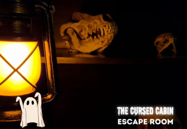 Tantalising Escape Room Experience for One to Eight People - Four Escape Rooms to Choose From - Taupo Location