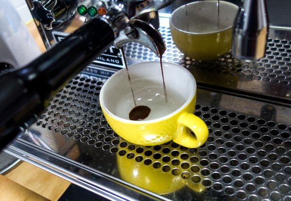 Concession Card for Five Regular Coffees in a Biodegradable Cup located in Central Rotorua