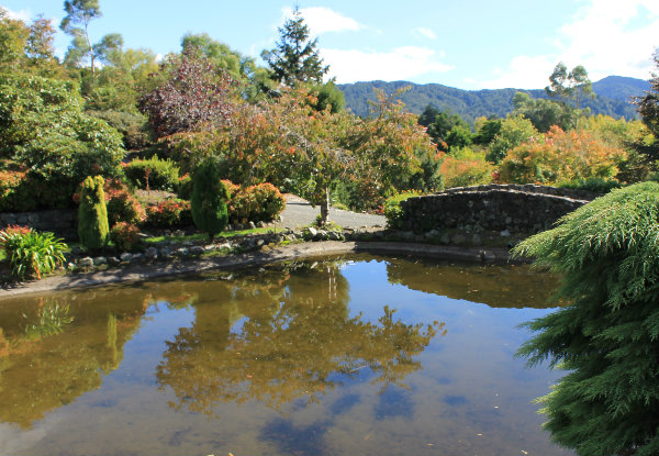 Devonshire Tea & Gardens Entry for One Person - Option for Devonshire Tea & Lifetime Membership from Aston Norwood Gardens