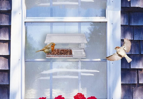 Outdoor Clear Window Mounted Bird Feeder - Option for Two