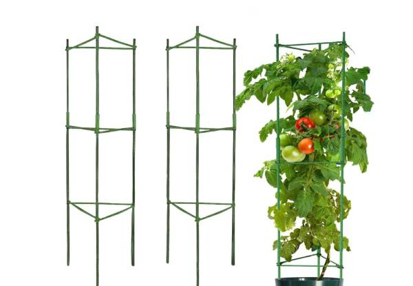 Three-Pack of 120cm Steel Stake Tomato Cages