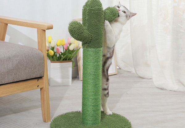 Cat Cactus Scratching Post