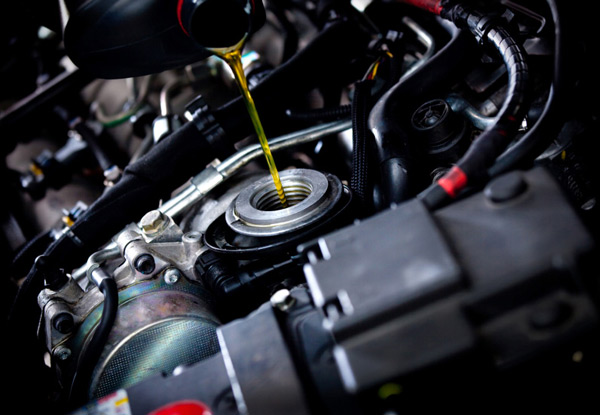 Vehicle Servicing for all Model Types  - Options for Extensive Service, European Service, Diesel Service, Electric Vehicles or Hybrid - Valid at Four Locations in Christchurch
