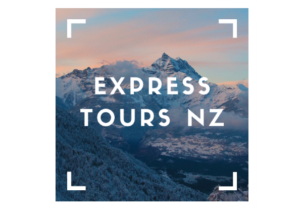 Private Pick-Up or Drop-Off Service for Auckland Airport or Cruise Ship for One Person - Options for up to Four People
