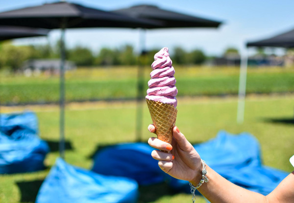 Two Real Fruit Ice Creams at Ruakura Berry Shop