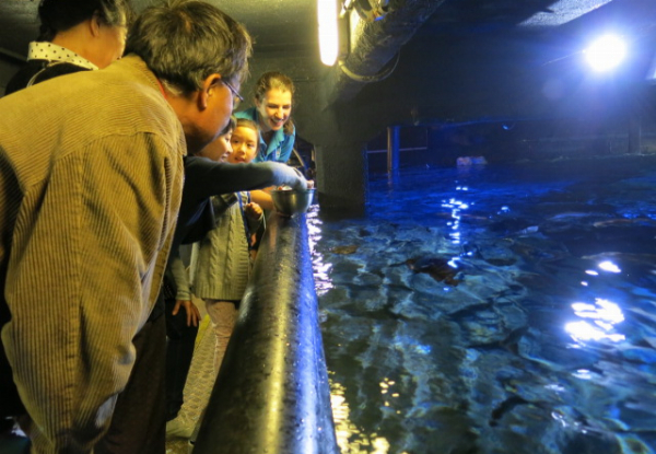 Adult & Child Admission to Sleep Under the Sea Overnight at SEA LIFE - Saturday 18th January, 7.00pm - Options for Two Adults & One Child & One Additional Child Available