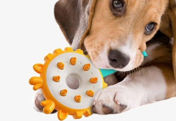 Dog Chew Teeth Cleaning Toy