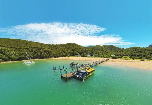 Discover the Bay - Hole in the Rock Cruise incl. BBQ Lunch & Island Stop-Over with Options for Child, Two Adults or Family Pass