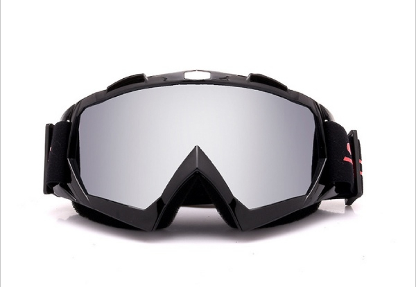 Ski Goggles - Two Colours Available