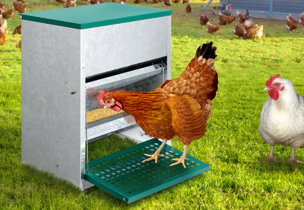 Petscene Automatic Galvanised Steel Chicken Feeder - Two Sizes Available