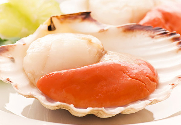 $25 for 1kg of Large Frozen Scallops, $50 for 2kgs or $100 for 4kgs - Available for Auckland Delivery & Pick-up Only