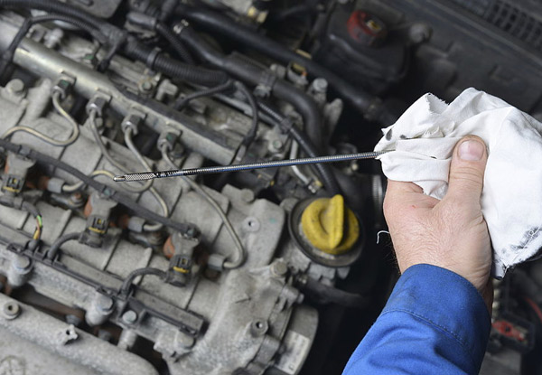 Comprehensive Service incl. Oil & Filter Change