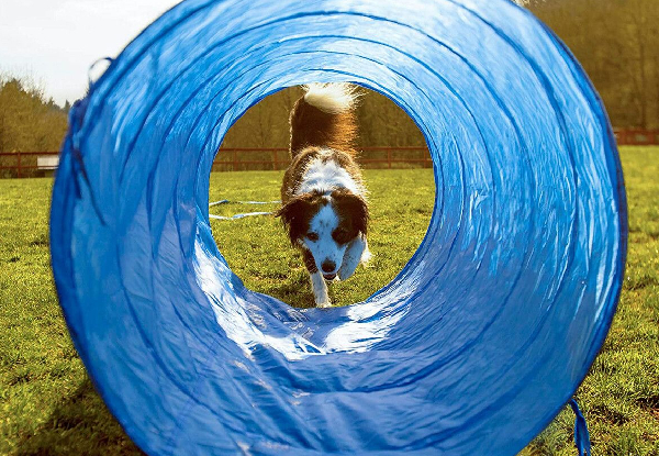 Seven-Piece Dog Obstacle Course Set incl. Weave Poles, Jump Kits, Tunnel & More