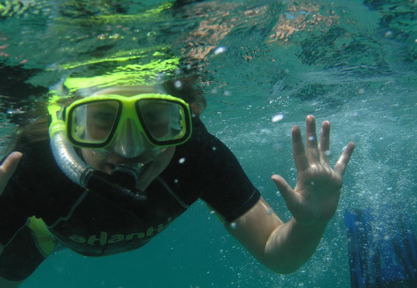 Mask, Snorkel & Fins All Day Hire for One Person - Option to include Wet Suit & for up to Six People