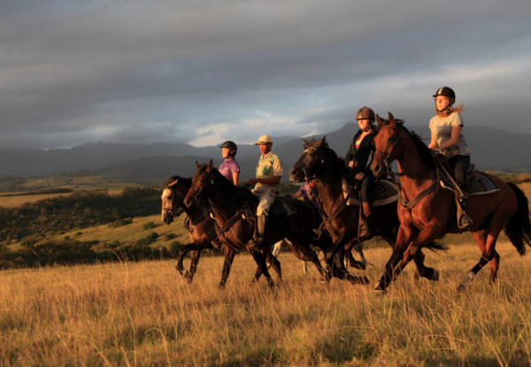 Per-Person Twin-Share for a Four-Night Luxury Full Board South Africa Safari Tour incl. Game Drive, Bird Hide Experience at Botlierskop Private Game Reserve - Option for Six Nights