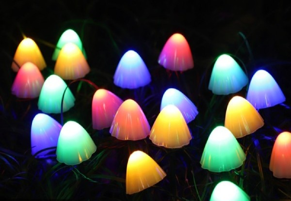 Solar-Powered Mushroom String Light - Two Colours & Three Sizes Available