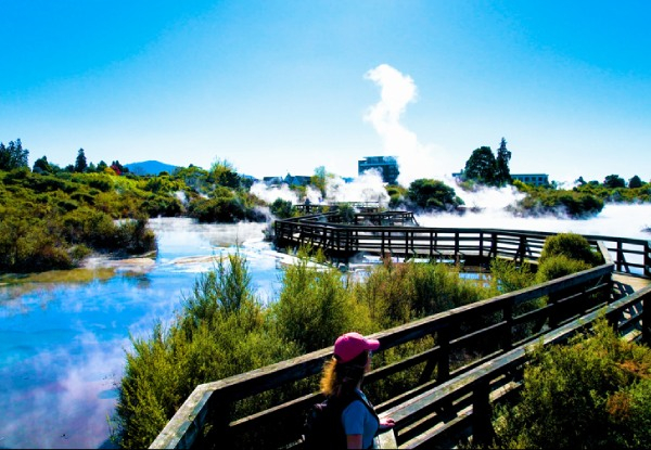 Family Pass to Whakarewarewa The Living Māori Village incl. One Hangi Pie Per Person – Option for Adult or Child Single Entry