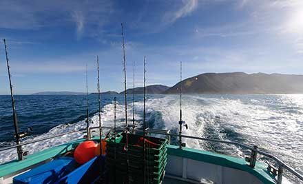 $60pp for a Four-Hour Harbour Fishing Trip incl. Tackle & Bait or $1,099 for a Four-Hour Full Boat Charter for up to 20 People (value up to $2,000)