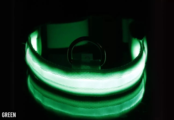 Rechargeable Light Up Dog Collar - Five Colours Available