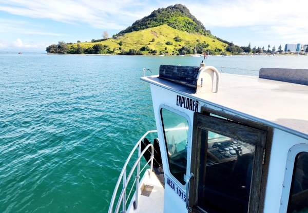 Three-Hour Sunday Afternoon Tauranga Scenic Harbour Cruise for One Adult - Option for Youth & Infant - Valid from 1st December 2024