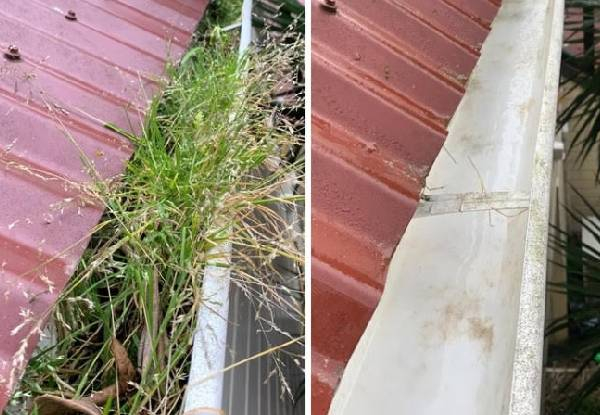 Standard Gutter Clean, Downpipe Check & Visual Roof Inspection Package - Three Options Available