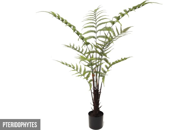 Artificial Plant Range - Four Options & Three Sizes Available