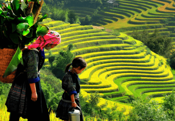 Per-Person, Twin-Share 8-Day Best Northern Vietnam Package All-inclusive - Meals, Accommodation, Transportation, Halong Bay Cruise, Sapa, Hoa Lu-Trang An-Mua Cave, Sightseeing & More