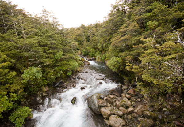 Per-Person 16 Day Epic NZ Dreamer MTB Tour – North & South Island incl. Accomodation, Guides, Activities & More