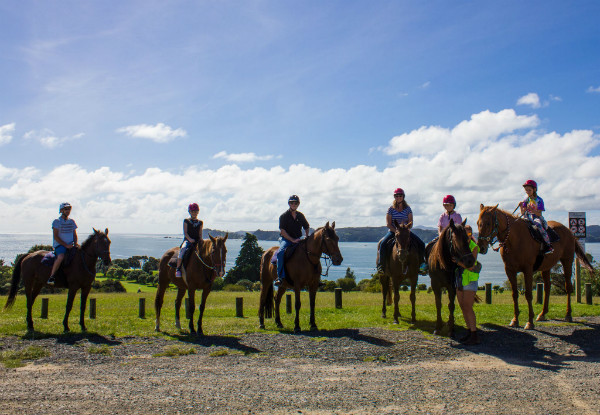 One-Hour Horse Trek for One Person in the Bay of Islands - Option for Two or Four People - Valid from 1 May 2020